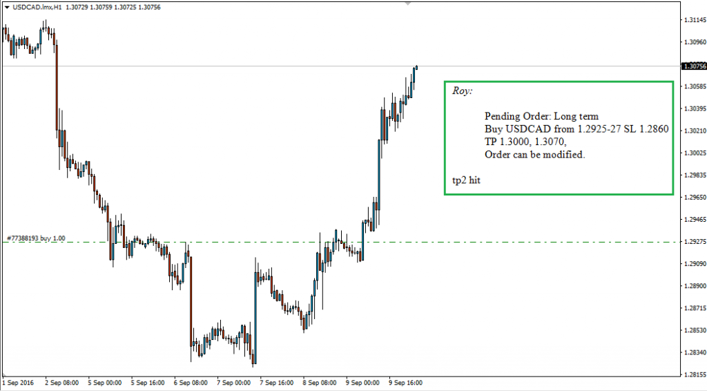 forex signal