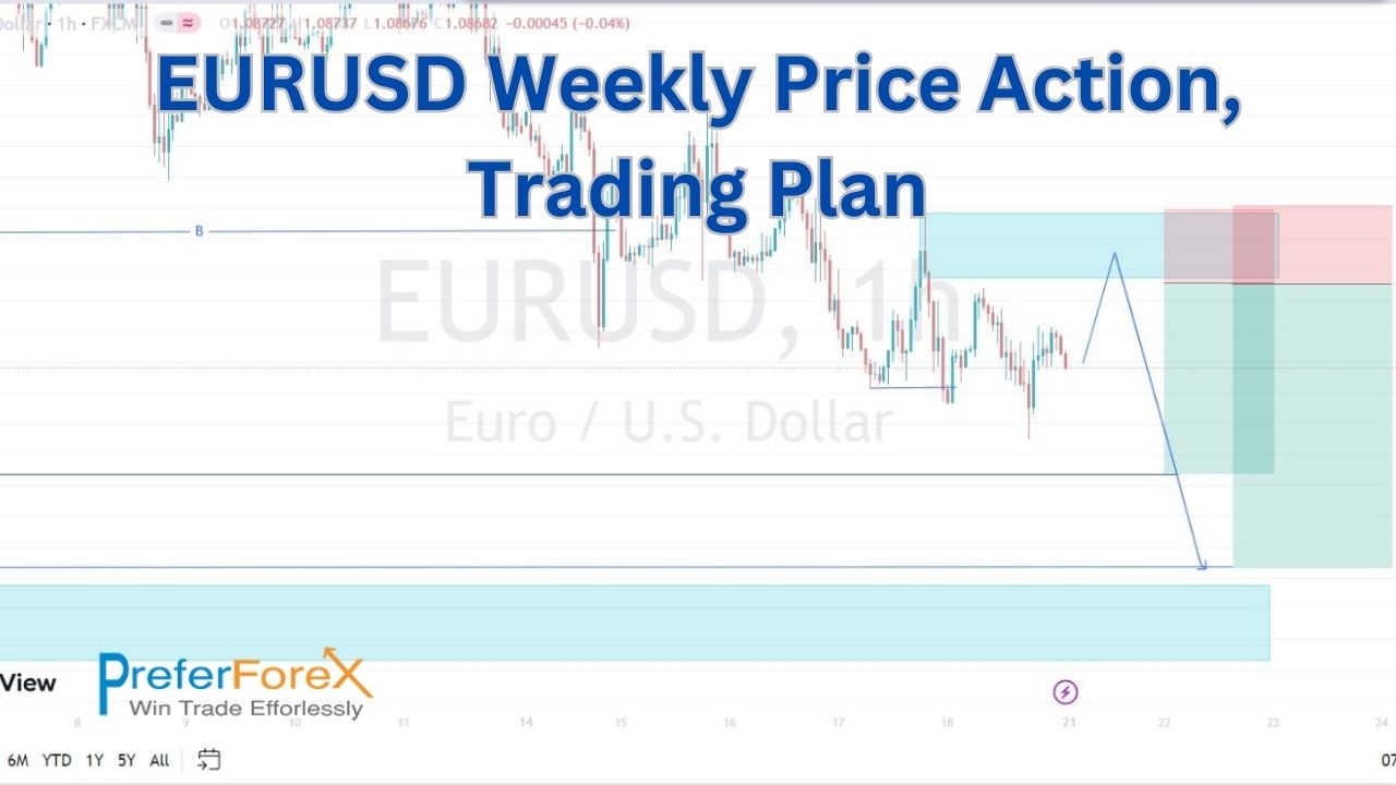 free forex signals today