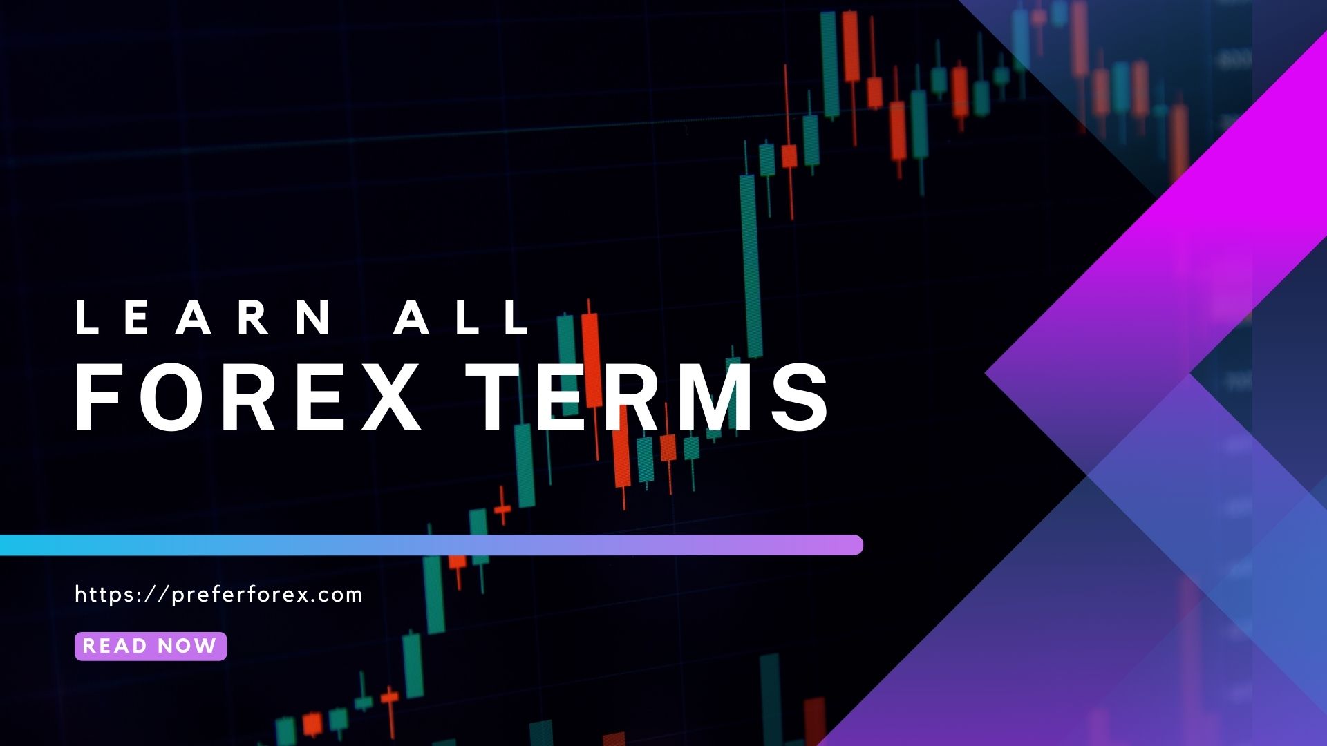 learn forex trading terms